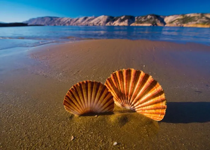 In With Sea View, Terrace, Air Conditioning, Wifi 4552-9 アパート